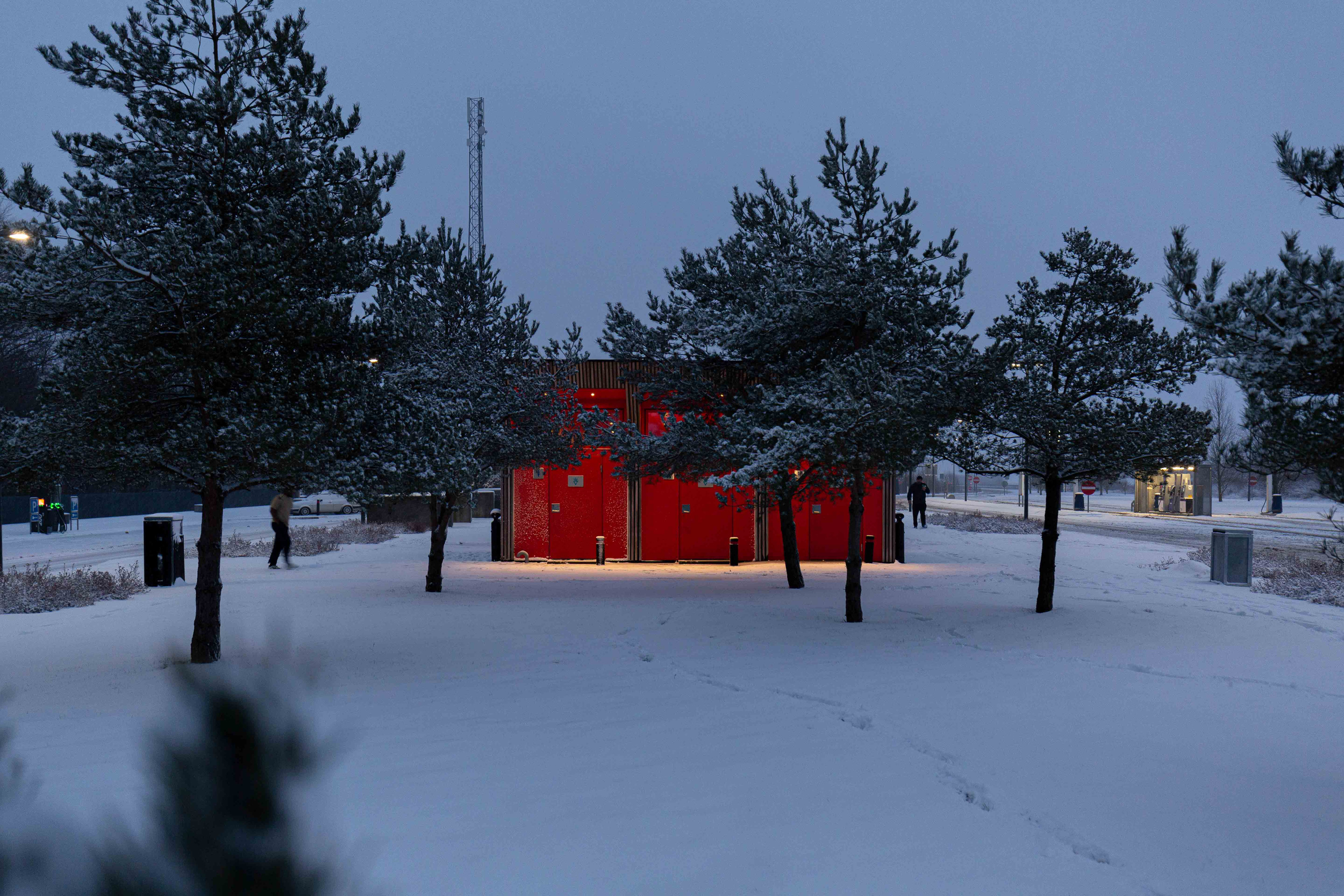 Rasteplads Kalbygård Skov